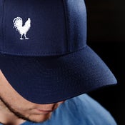 Image of Blue and White Flexfit Cap 