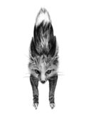 Image of Jen Franklin<br>Fox Door Knocker