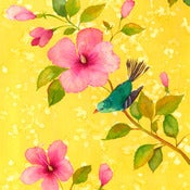 Image of Fusia - Tranquility Island