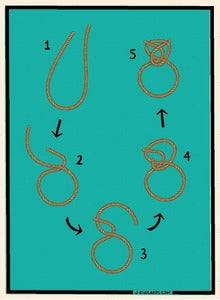 Image of Tyin' the Knot