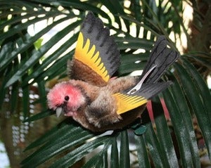 Image of Steiff Flying Sparrow