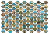 Image of Sharon Elphick <br>Wish You Were Here