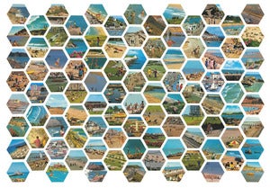 Image of Sharon Elphick <br>Wish You Were Here