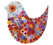 Image of Sharon Elphick  <br>Bird in Bloom