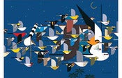 Image of Charley Harper <br>Mystery of the Missing Migrants