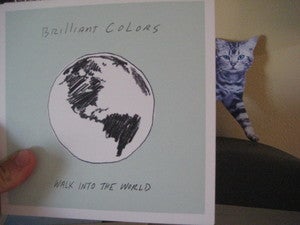Image of brilliant colors single