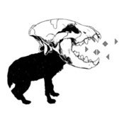Image of Hyena