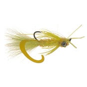 Image of Whitlock's Scorpion