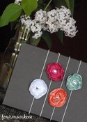 Image of summer lanee assortment