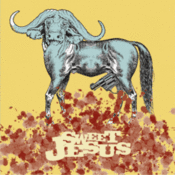 Image of sweet jesus