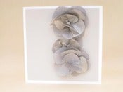 Image of silver petals