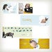 Image of Kick Litter: Nine-Step Program for Recovering Litter Addicts