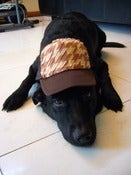 Image of Illusion Pattern Cap