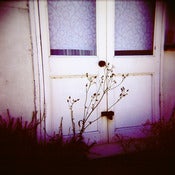 Image of Looking out