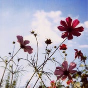 Image of Believe