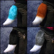 Image of Fluffy Canine Tail!