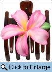 Image of Hawaiian Single Plumeria Hair Clip