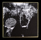 Image of Sunshine / Vesper 7" -Spores Jacket-