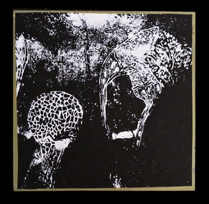 Image of Sunshine / Vesper 7" -Spores Jacket-