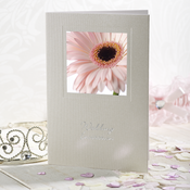 Image of Pink Gerbera Invitation