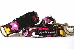 Image of daisy spring collar and leash set