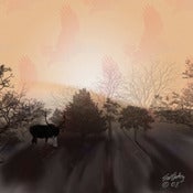 Image of When the shadows are long..12" x 12" print $100.00