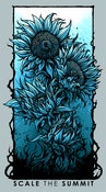 Image of *NEW* Blue "Bloom" Sunflower Poster (ROLLED)