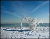 Image of Bowing to Winter