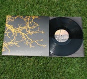 Image of 12" If These Trees Could Talk - S/T