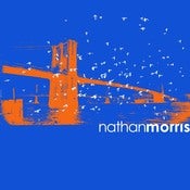 Image of Birds & Bridge T-Shirt