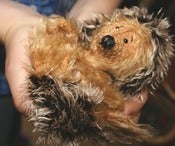 Image of Handmade Hedgehog   
