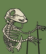 Image of Kermit skeleton