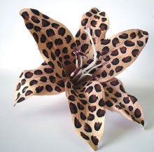 Image of Leopard Lily hair flower 
