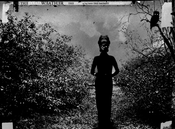 Image of The Dead Weather MO