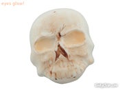 Image of Bob the Skull