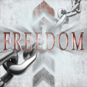 Image of Freedom CD's 50 Pack 