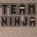 Image of Team Ninja