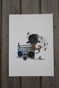 Image of 'Natural Sounds' A3 Print