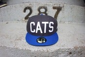 Image of GRAPHITE grey CATS FITED HAT 