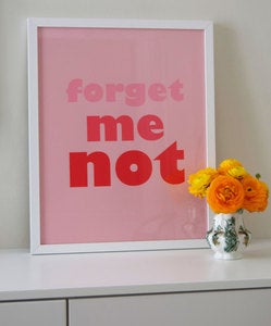 Image of 'Forget Me Not' (Colour Block)