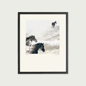 Image of Horses (16"x20") Edition of 30