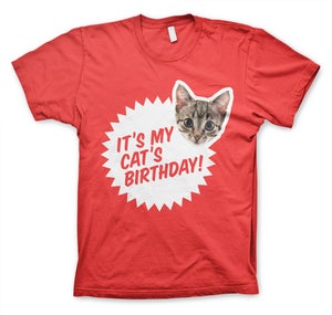 Image of It's My Cat's Birthday