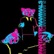 Image of Shirt - RAVIN' RED PANDAS