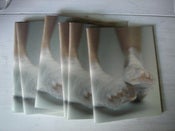 Image of Issue 2 ~ "Take A Stroll"