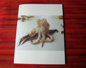 Image of Issue 4 ~ "Numbers"