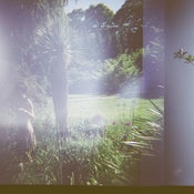Image of Family Trees - Dream Talkin 7"