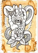 Image of "All Seeing Eye"