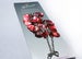 Image of Tiara Shells - Red