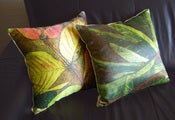 Image of Rainforest Medicine Pillow Set 1