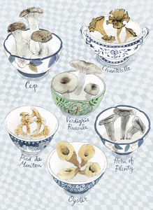 Image of Woodland Mushrooms
